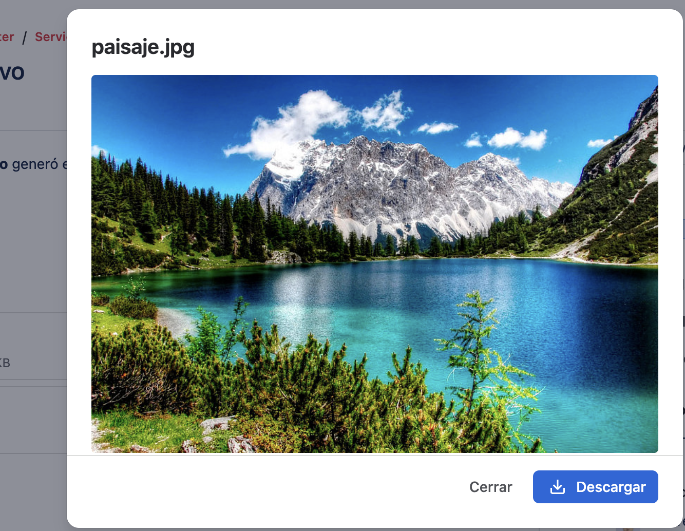 Ventana de vista previa de una imagen en el portal de Jira Service Management, con los botones Descargar y Cerrar