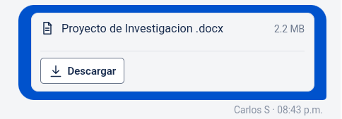 Tarjeta de archivo sin vista previa (zip/docx)