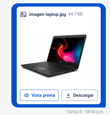 Tarjeta de imagen en el chat del widget