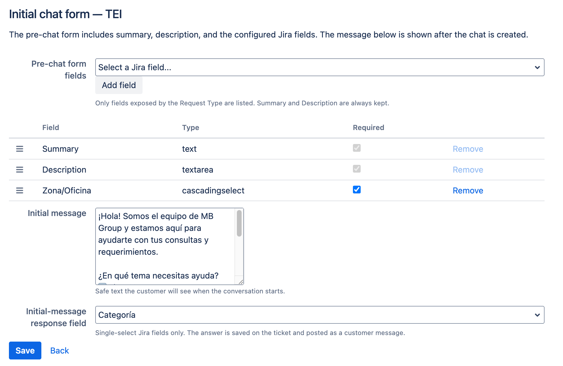 Initial chat form configuration