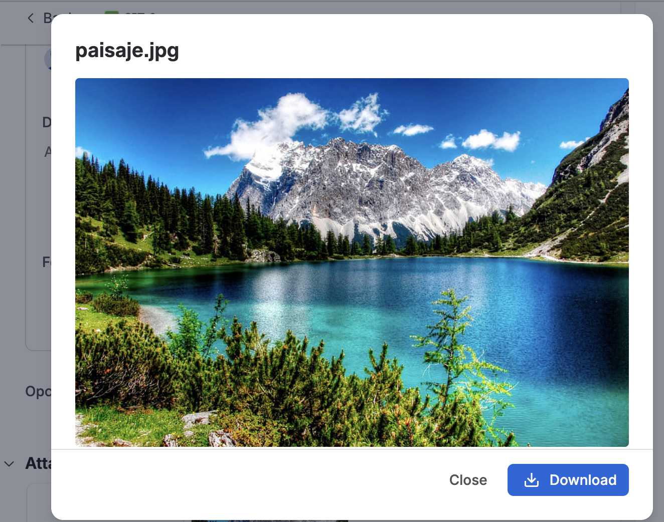 Preview window for an image on the work item view, with Download and Close buttons