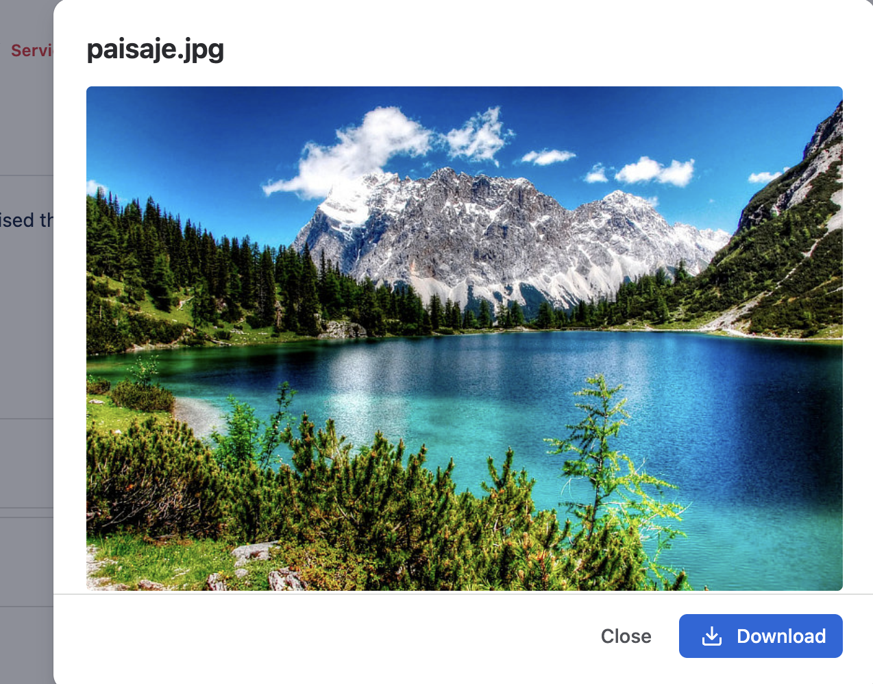 Preview window for an image on the Jira Service Management portal, with Download and Close buttons
