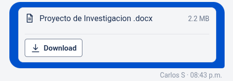 File card with no preview (zip/docx)