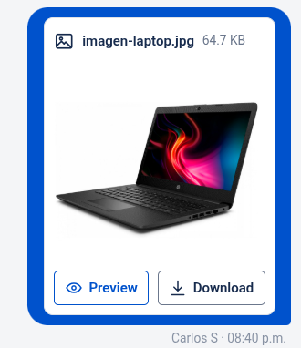 Image card in the widget chat