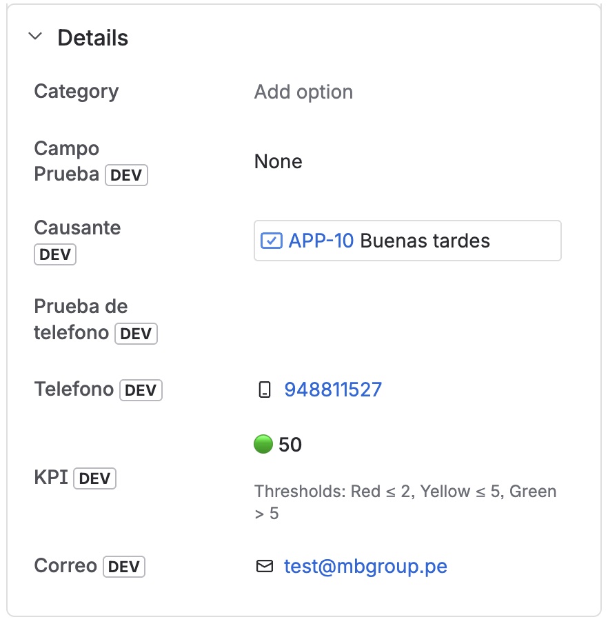 Email field rendering on the issue view